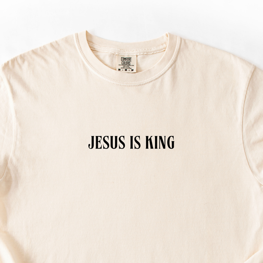 Jesus Is King Long Sleeve Shirt